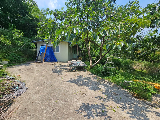 �Ź� �̹���